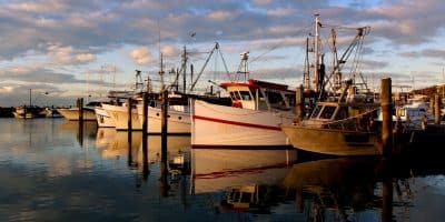 Where Should You Go Fishing In Australia? Where Should You Go Fishing In Australia?